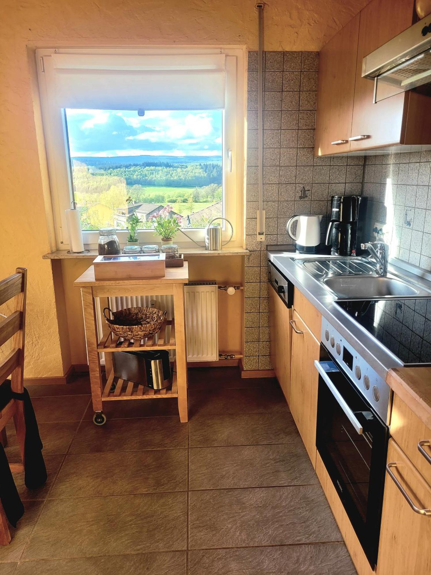 Ferienhaus Wilder Hunsrueck Schmissberg Zewnętrze zdjęcie